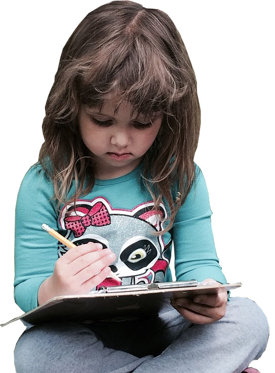 轰炸电话在线下单